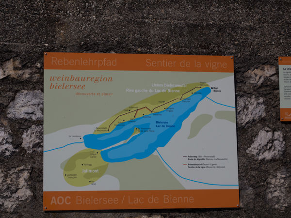 Rebenweg Bielersee
