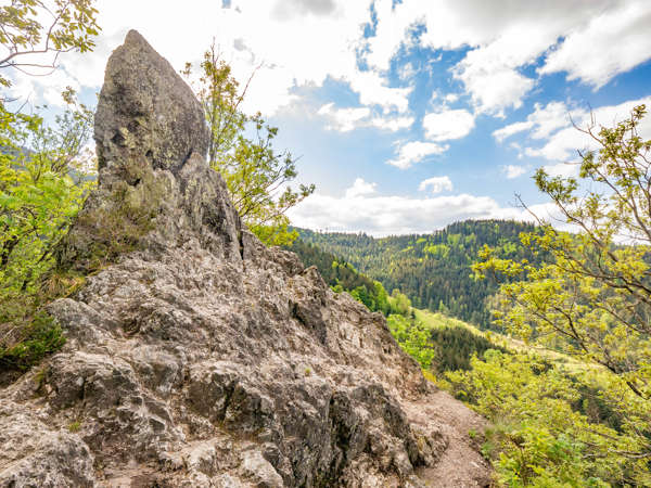 Der Karlsruher Grat - Geniesserpfad im Schwarzwald
