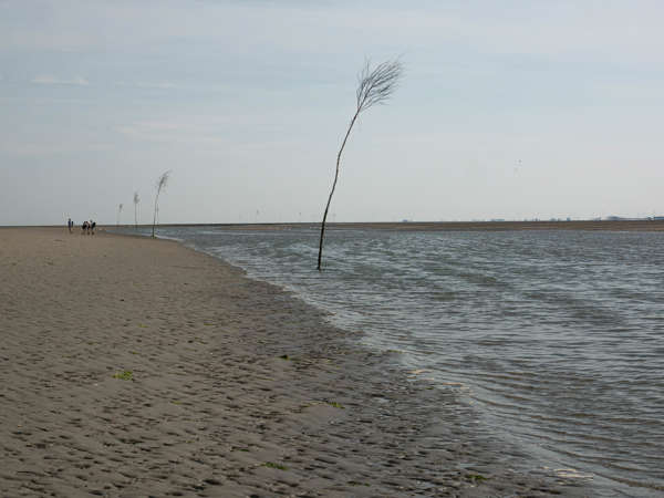 Wattwanderung nach Baltrum