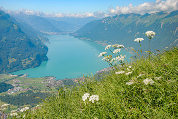 Brienzer Rothorn vom Brünigpass