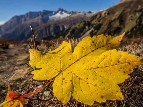 Herbstwanderungen in der Schweiz - die schönsten Wege für die bunte Jahreszeit