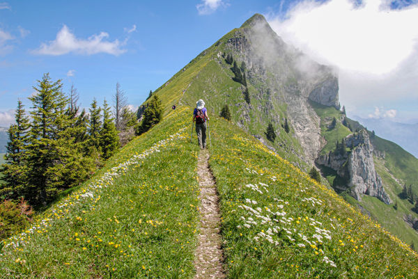Gratwanderung Augstmatthorn ab Harder Kulm