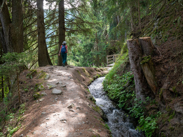 Bisse de Vieux und Bisse de Vex