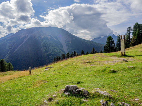 Alp Grimmels - Rundwanderung im Schweizerischen Nationalpark