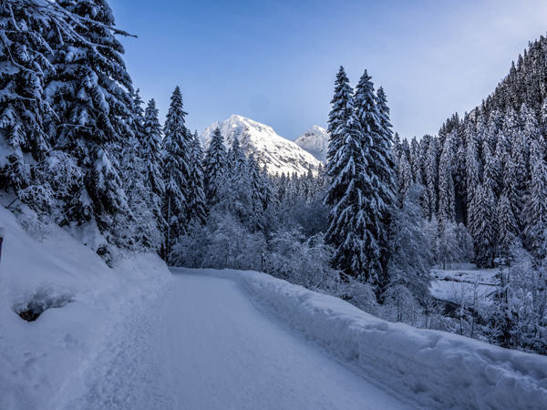 Winterwanderung von Klosters zur Alp Garfiun